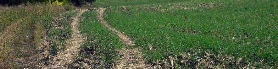 Фото: Сергей Егоров