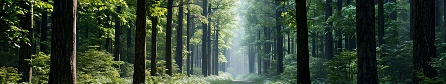 Фото: Шедеврум