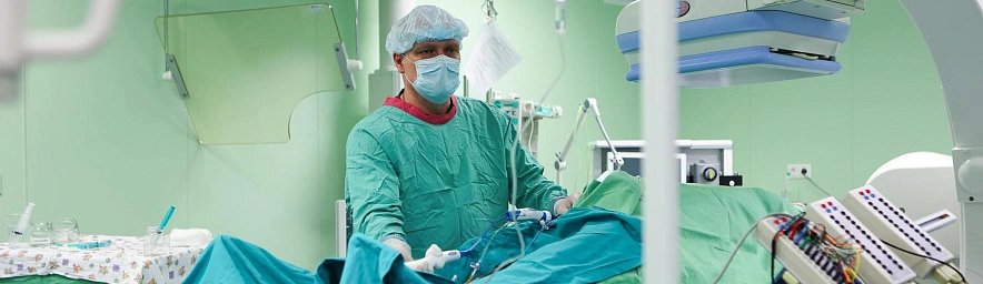 Фото: Антон Вергун