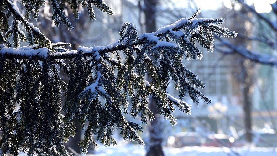 Фото: Сергей Егоров