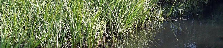 Фото: Сергей Егоров