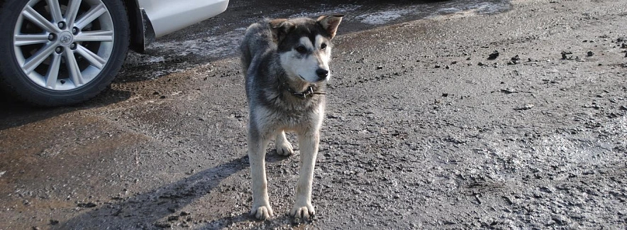 Фото: Анна Григор