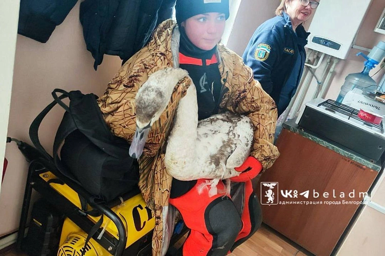 Фото: пресс-служба администрации Белгорода