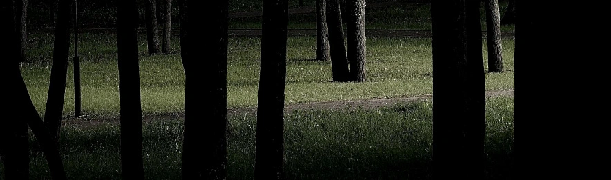 Фото: Сергей Егоров