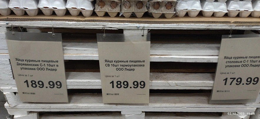 Фото: Марина Алхимова