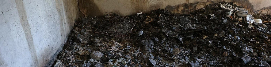 Фото: Антон Вергун