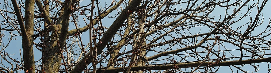 Фото: Сергей Егоров