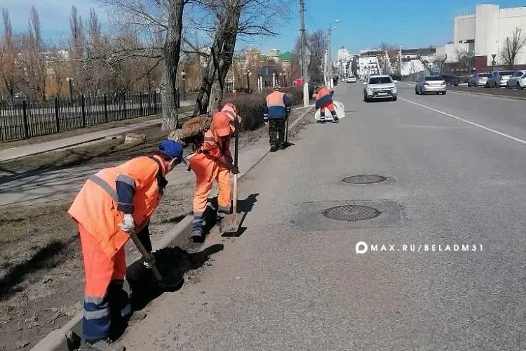 Фото: пресс-служба администрации Белгорода