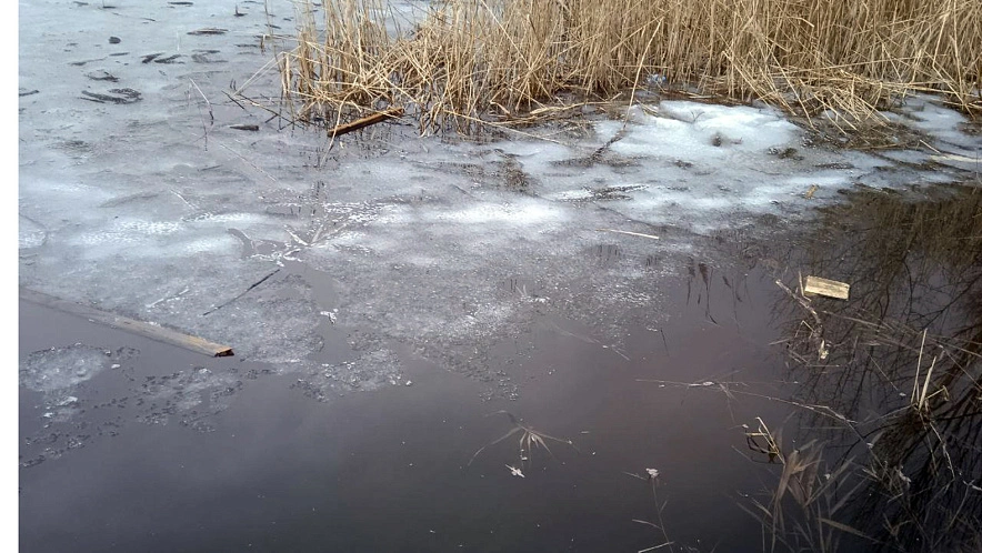 Фото: Сергей Егоров