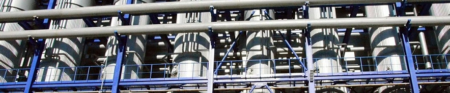 Фото: Виктория Передерий