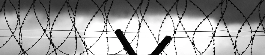 Фото: Сергей Егоров