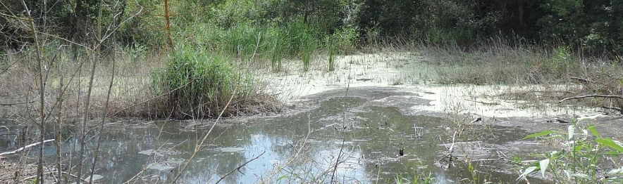 Фото: Росприроднадзор