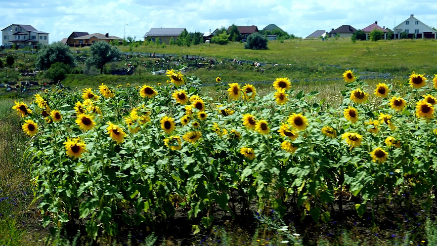 Фото: Сергей Егоров