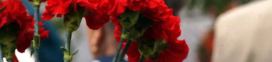 Фото: Сергей Егоров