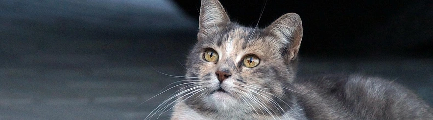 Фото: Сергей Егоров