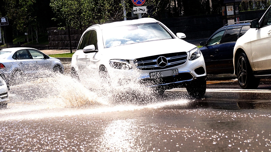 Фото: Сергей Егоров