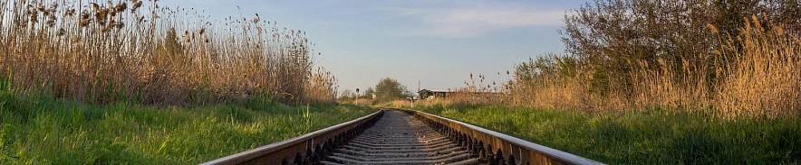 Фото: Юлия Мальцева