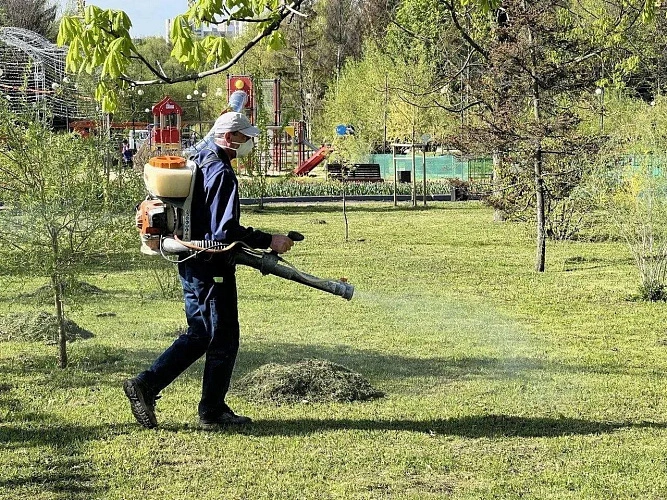 Фото: пресс-служба администрации Белгорода