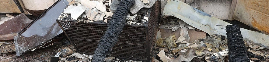 Фото: Антон Вергун