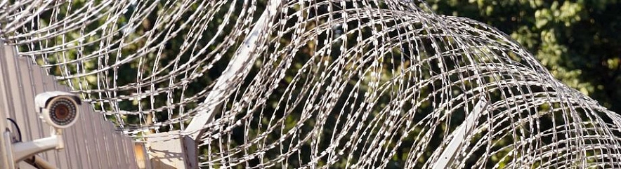 Фото: Сергей Егоров