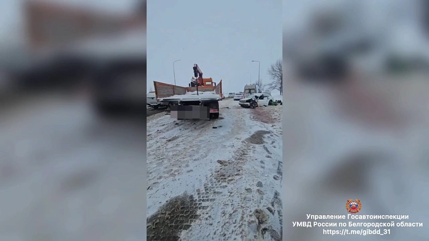 Фото: пресс-служба Госавтоинспекции Белгородской области