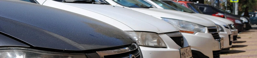 Фото: Сергей Егоров 