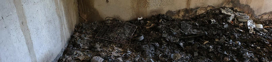 Фото: Антон Вергун