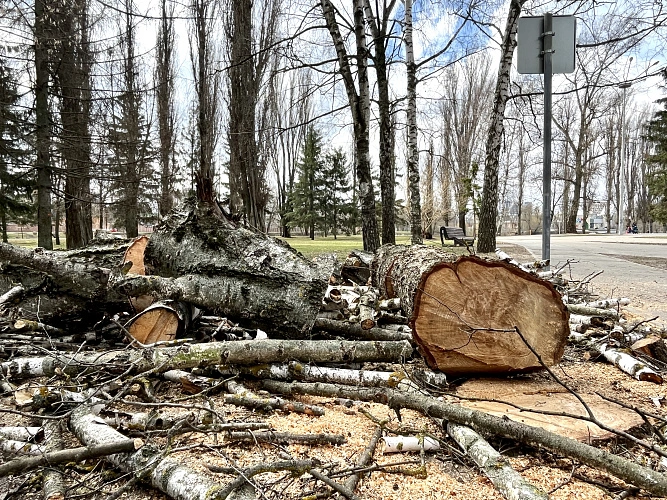 Фото: Анна Григор
