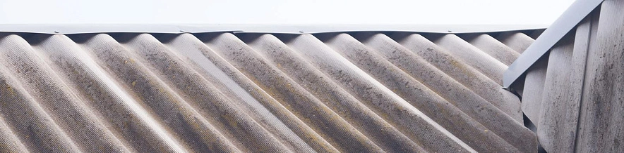 Фото: Сергей Егоров