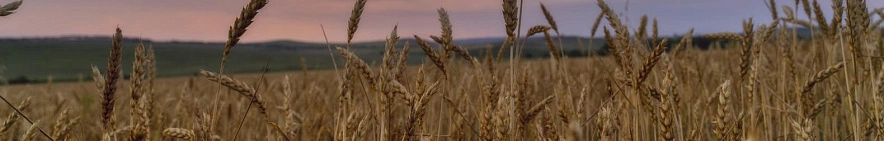 Фото: Юлия Мальцева