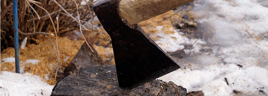 Фото: Сергей Егоров