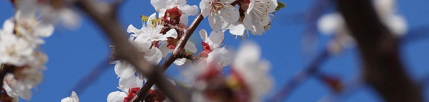 Фото: Сергей Егоров