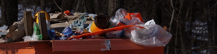 Фото: Сергей Егоров 