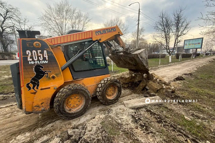 Фото: пресс-служба администрации Белгорода
