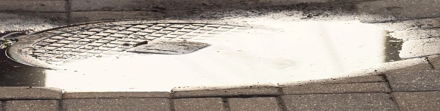 Фото: Сергей Егоров