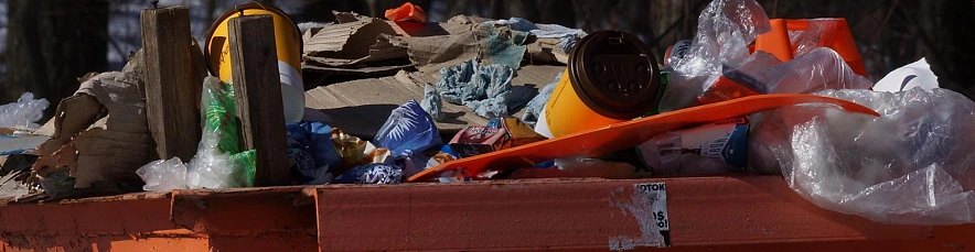 Фото: Сергей Егоров