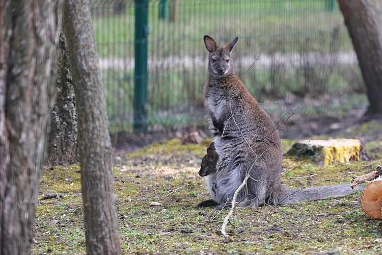 Фото: Антон Вергун