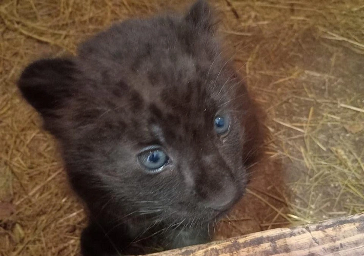 Фото: пресс-служба Белгородского зоопарка