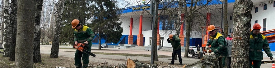 Фото: Анна Григор