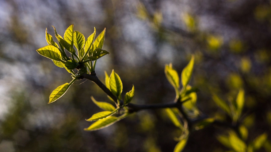 Фото: Юлия Мальцева