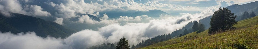 Фото: Шедеврум