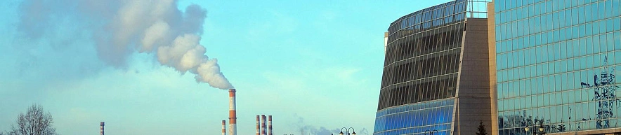 Фото: Дарья Егорова