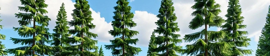 Фото: Шедеврум