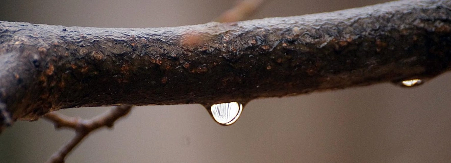 Фото: Сергей Егоров