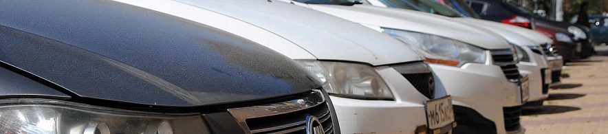 Фото: Сергей Егоров