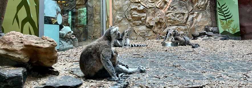 Фото: Анна Григор