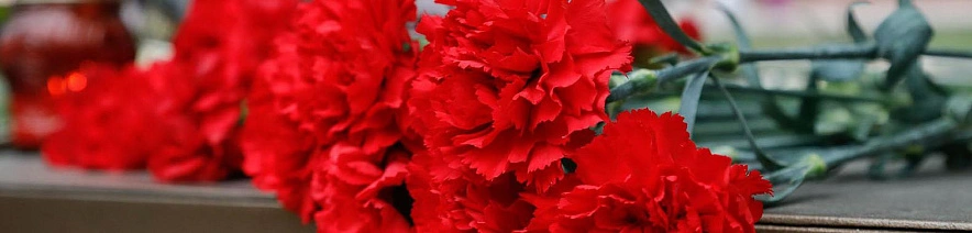 Фото: Антон Вергун