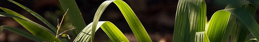 Фото: Сергей Егоров