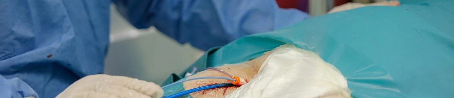 Фото: Антон Вергун