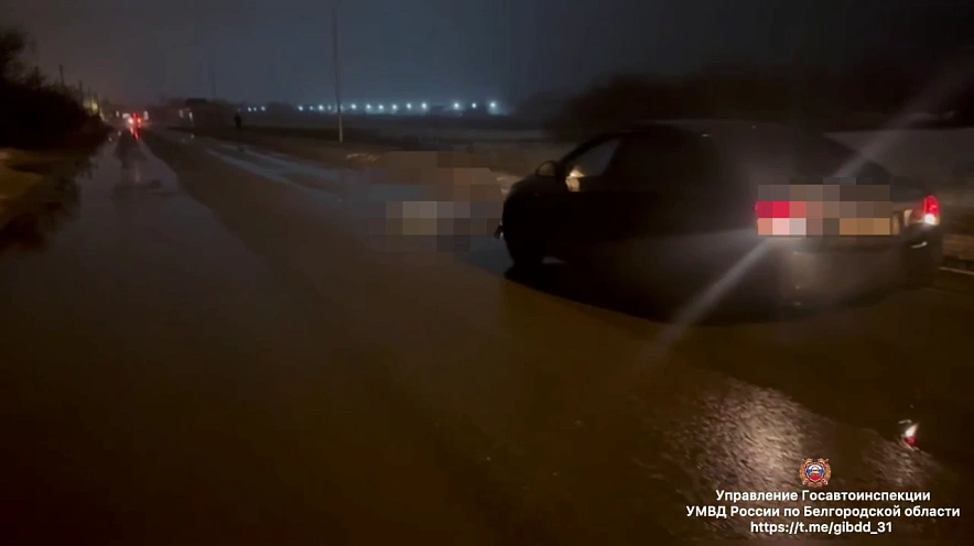 Фото: пресс-служба Госавтоинспекции Белгородской области